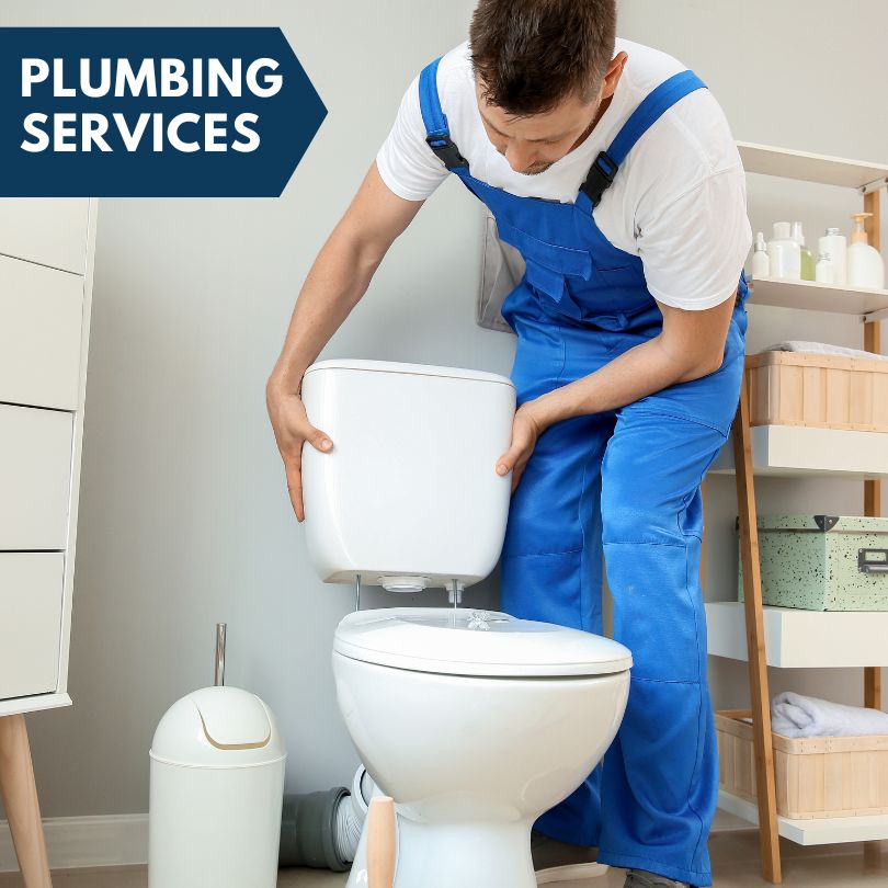 Plumbing Company in Elwell, MI